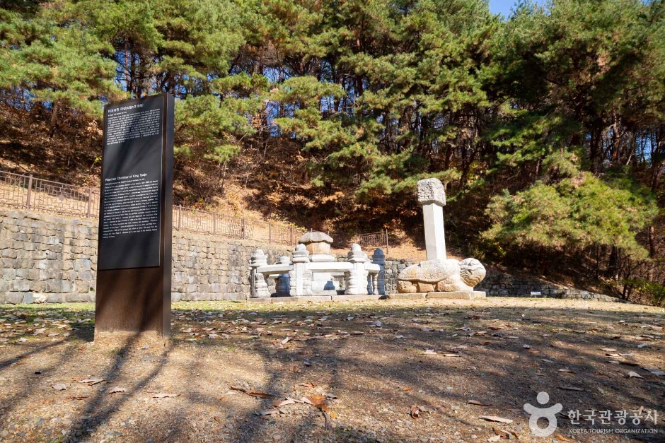 대전_동구_만인산 자연휴양림 (4)