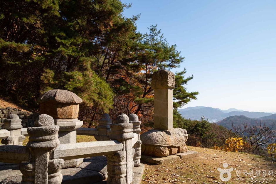 대전_동구_만인산 자연휴양림 (8)