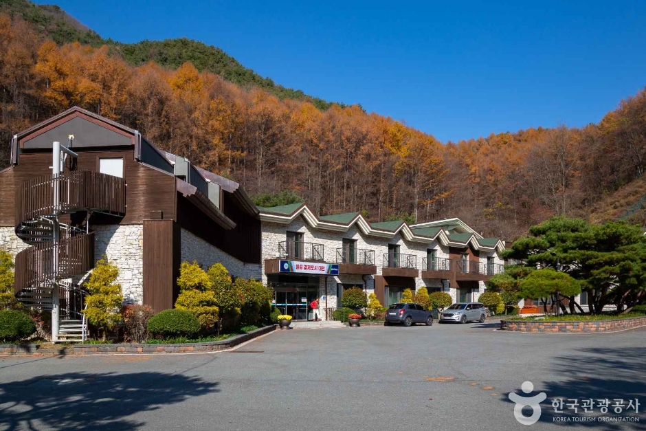 대전_동구_만인산 자연휴양림 (9)