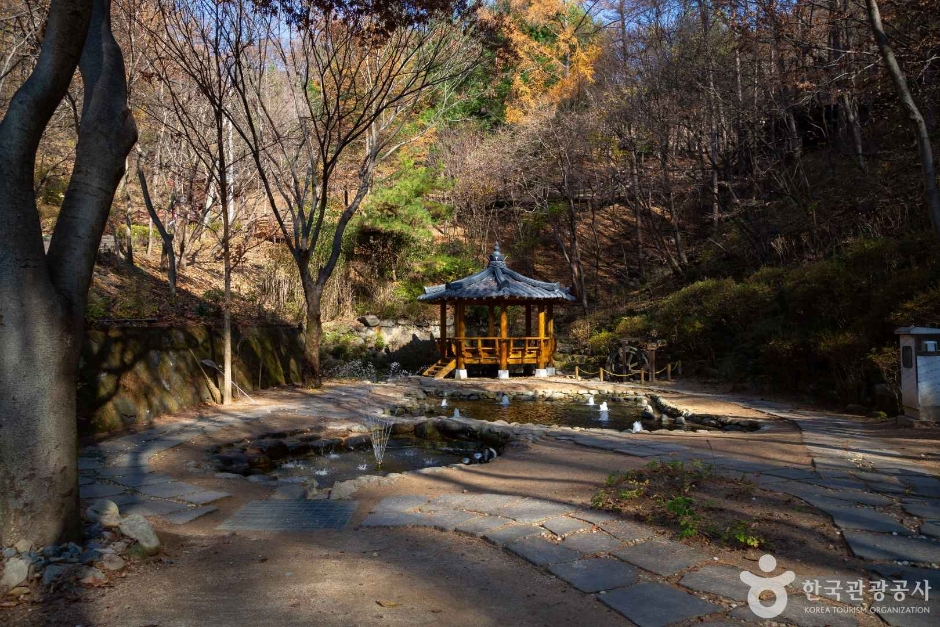 대전_동구_만인산 자연휴양림 (10)