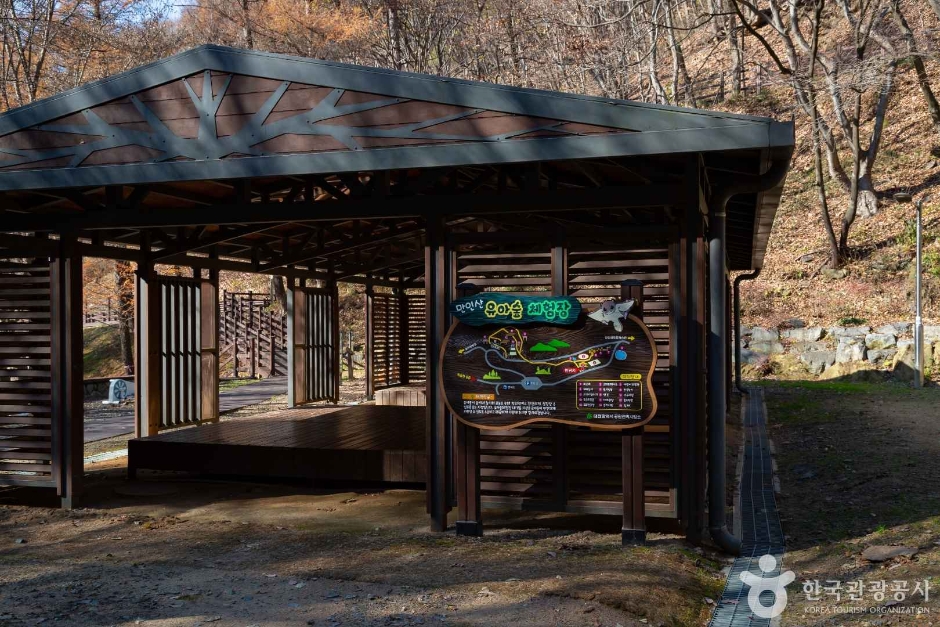 대전_동구_만인산 자연휴양림 (12)