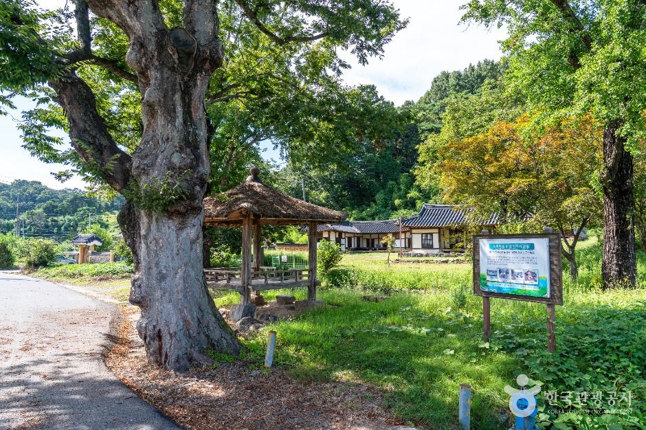 중구_무수천하마을 (7)