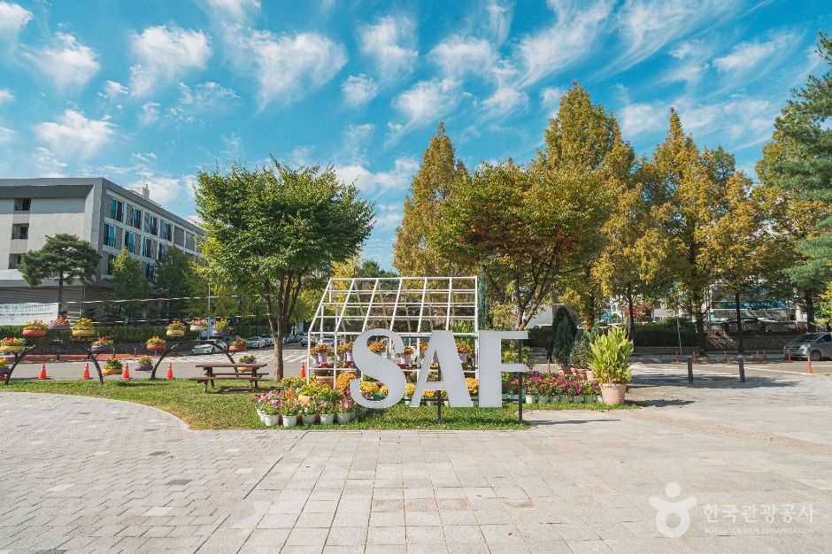 대전_보라매공원 (1)