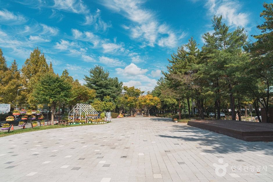 대전_보라매공원 (2)