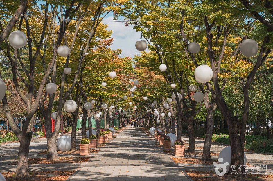 대전_보라매공원 (5)