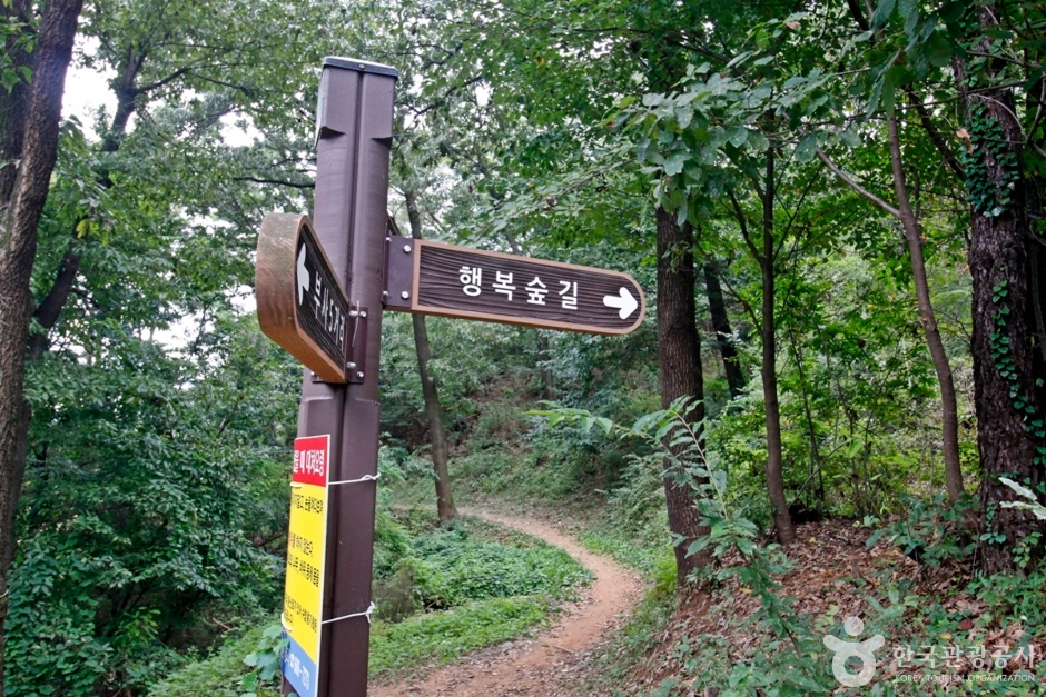 보문산 행복 숲 둘레길