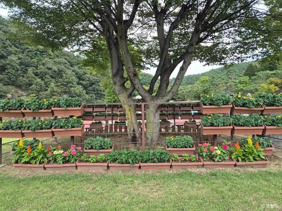 대전_뿌리공원 (1)