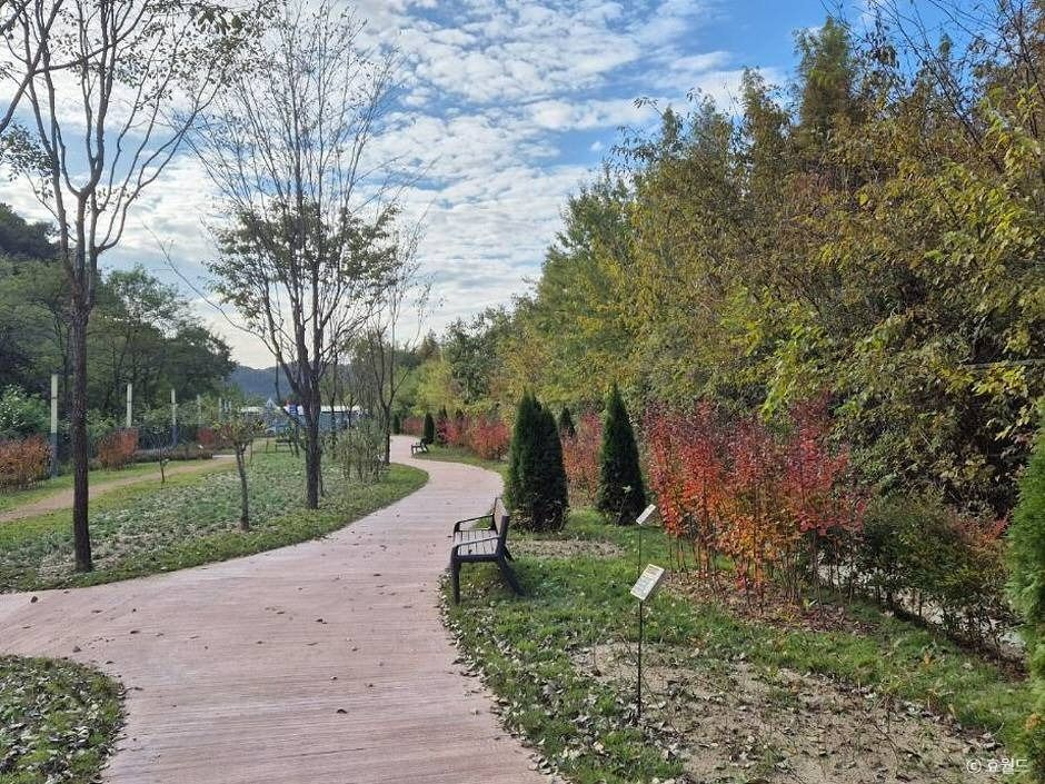 대전_뿌리공원 (2)