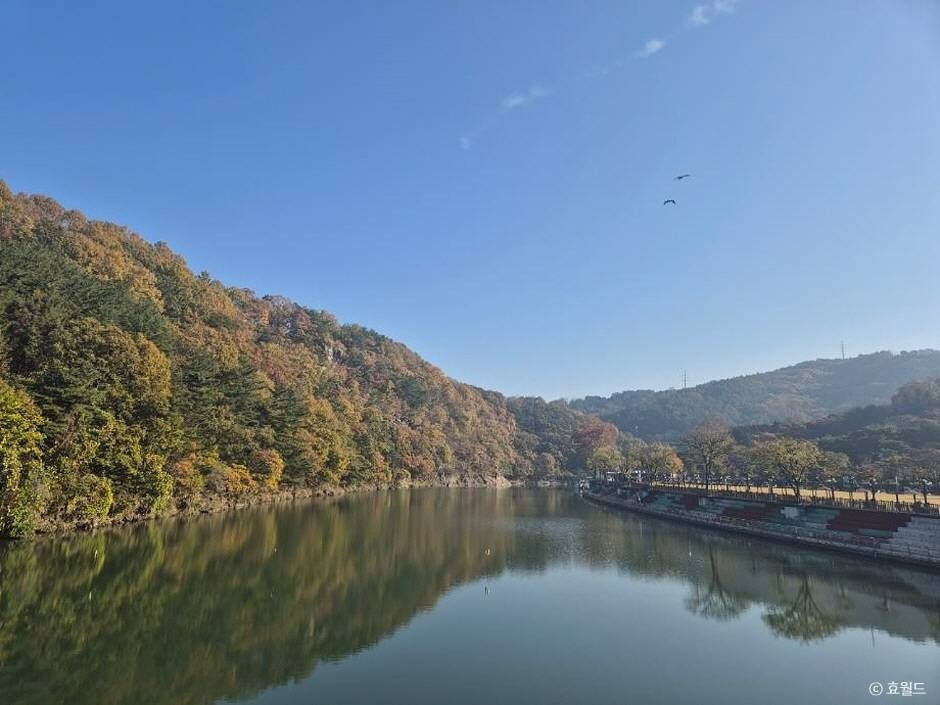 대전_뿌리공원 (4)