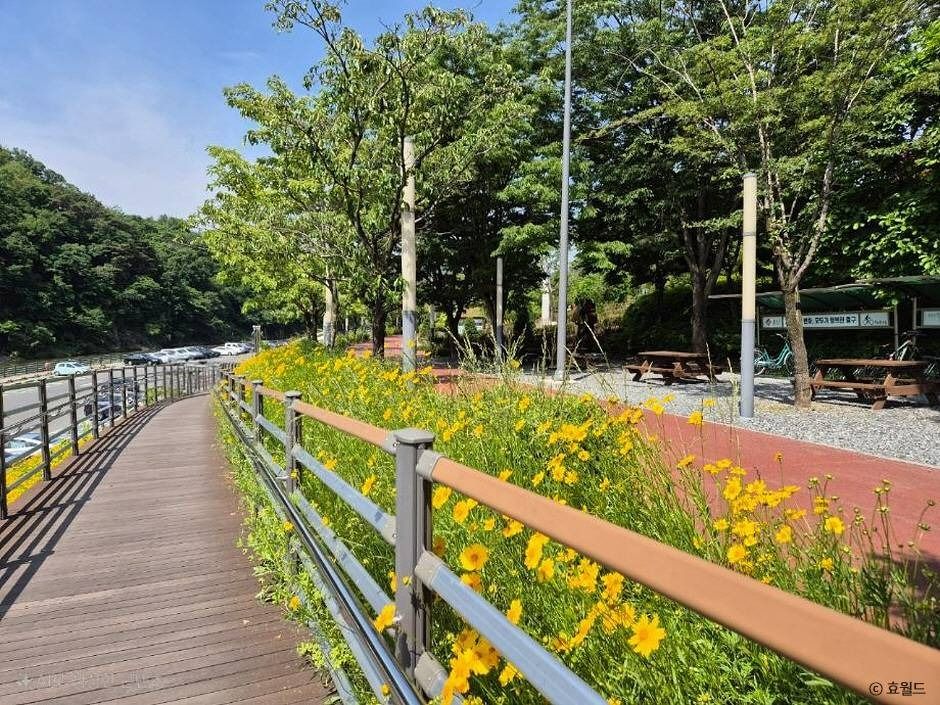 대전_뿌리공원 (6)