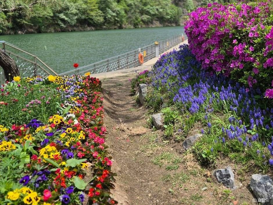 대전_뿌리공원 (8)