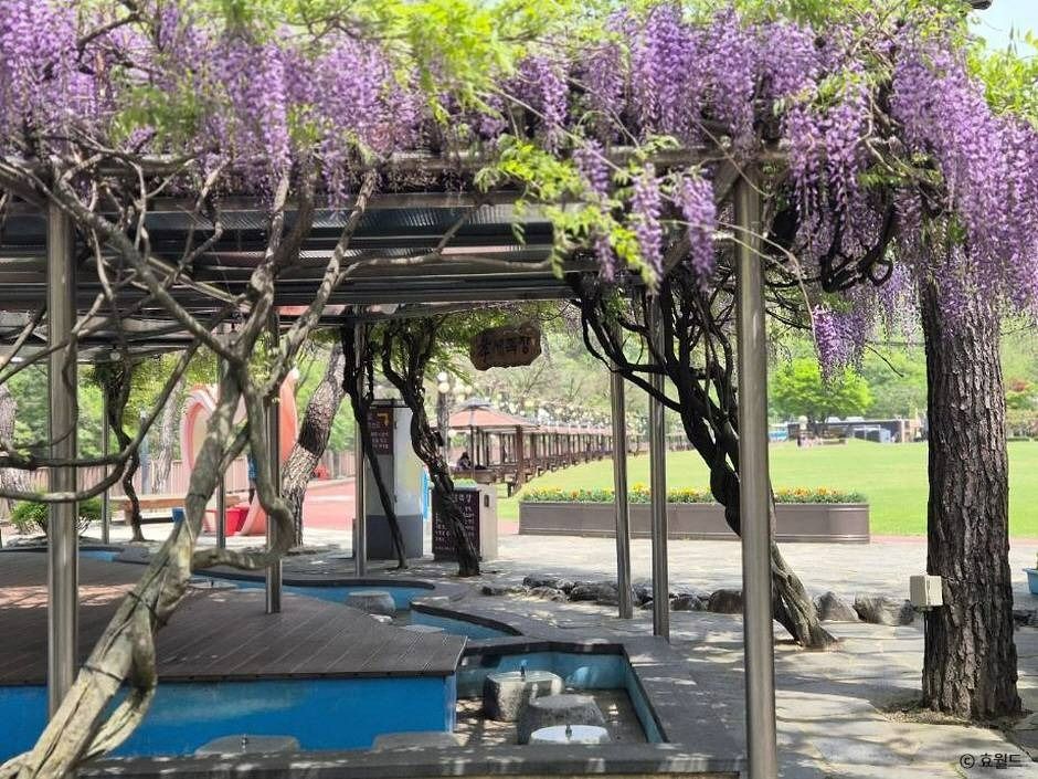 대전_뿌리공원 (10)