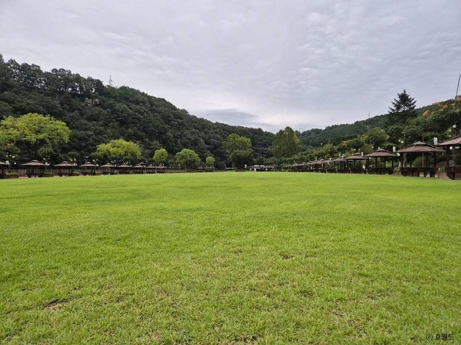 대전_뿌리공원 (7)