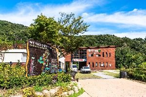 대전 치유의 숲