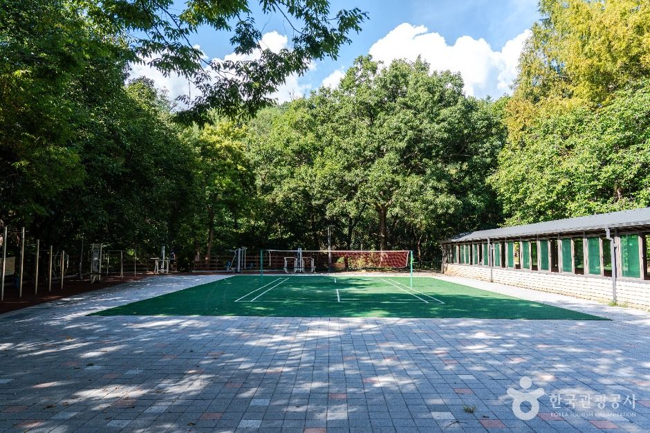 중구_사정공원 (3)