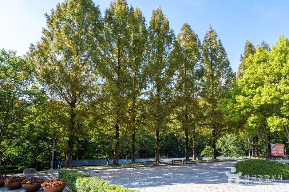 중구_사정공원 (4)