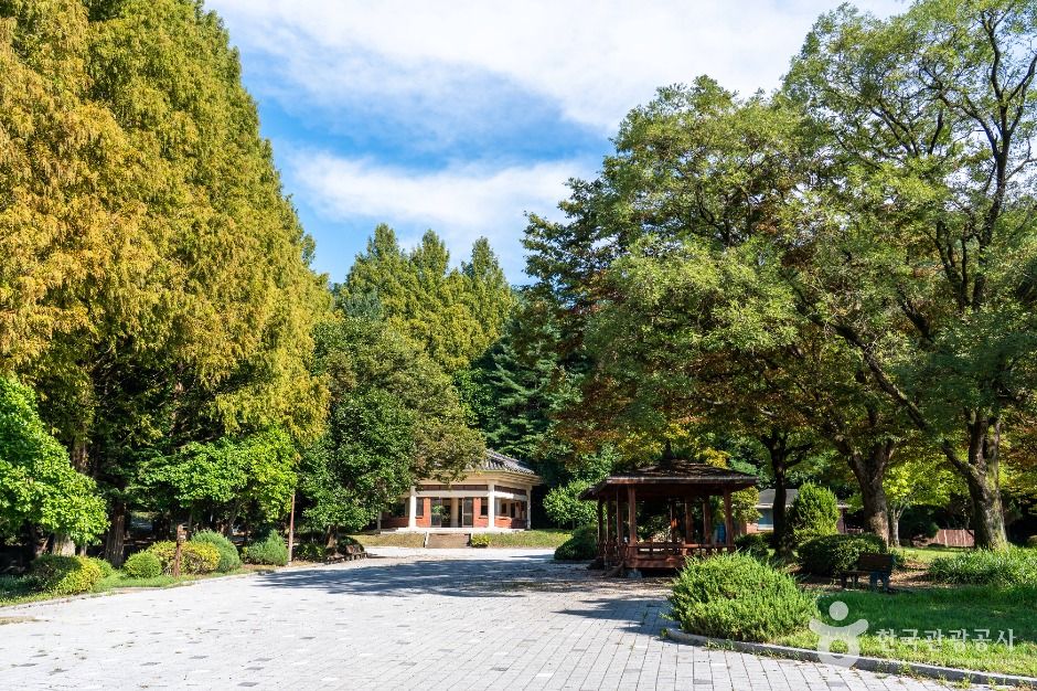 중구_사정공원 (2)