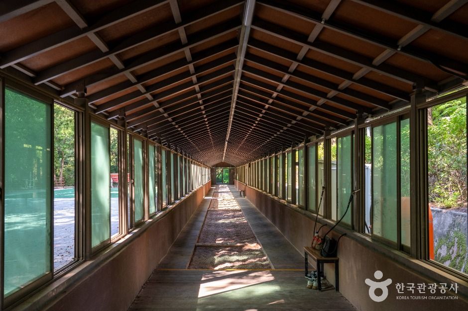 중구_사정공원 (5)