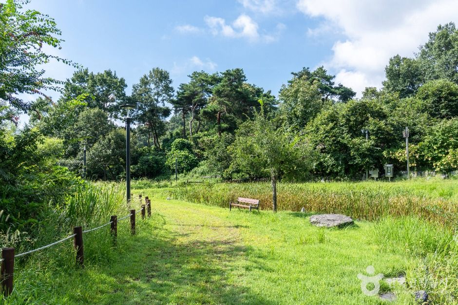 대덕_삼정생태공원 (3)