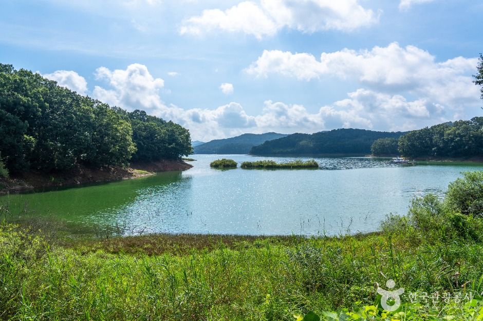 대덕_삼정생태공원 (4)