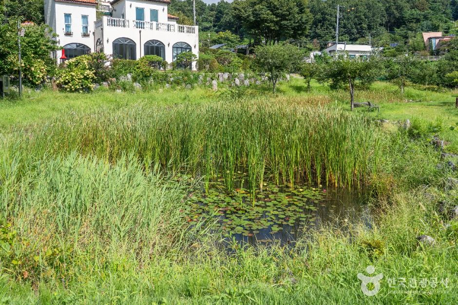 대덕_삼정생태공원 (5)