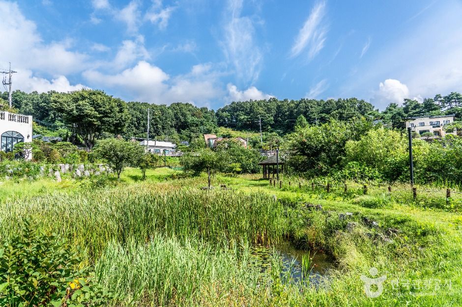 대덕_삼정생태공원 (6)