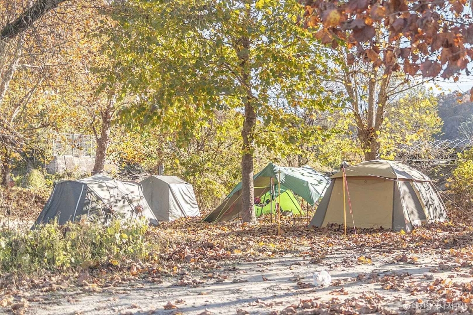 대전_서구_상보안 유원지 (4)