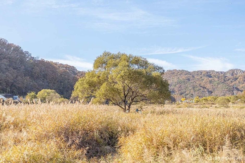 대전_서구_상보안 유원지 (7)