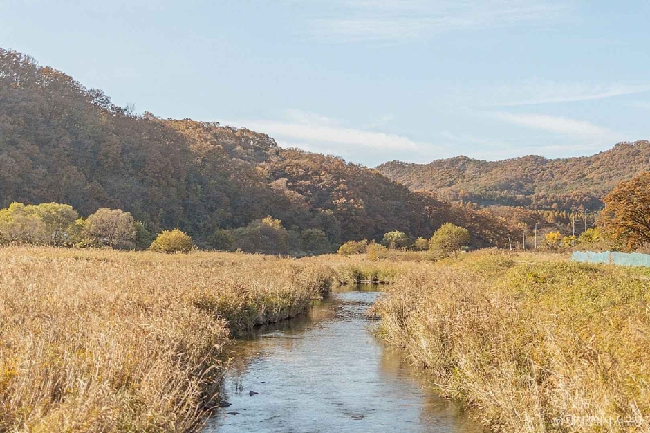 대전_서구_상보안 유원지 (8)