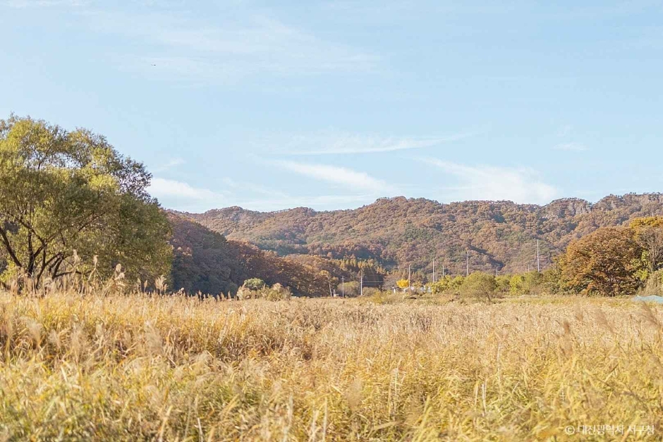 대전_서구_상보안 유원지 (9)