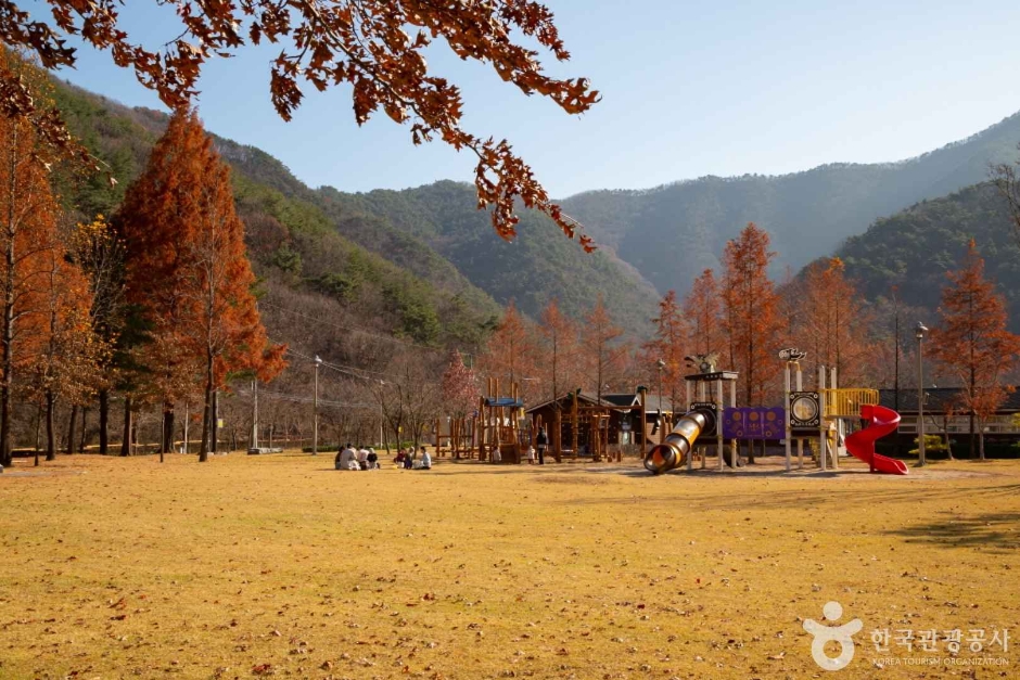 상소동 산림욕장 (1)