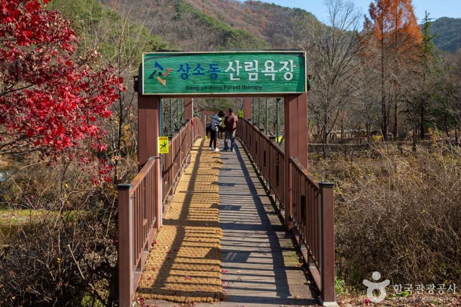 상소동 산림욕장
