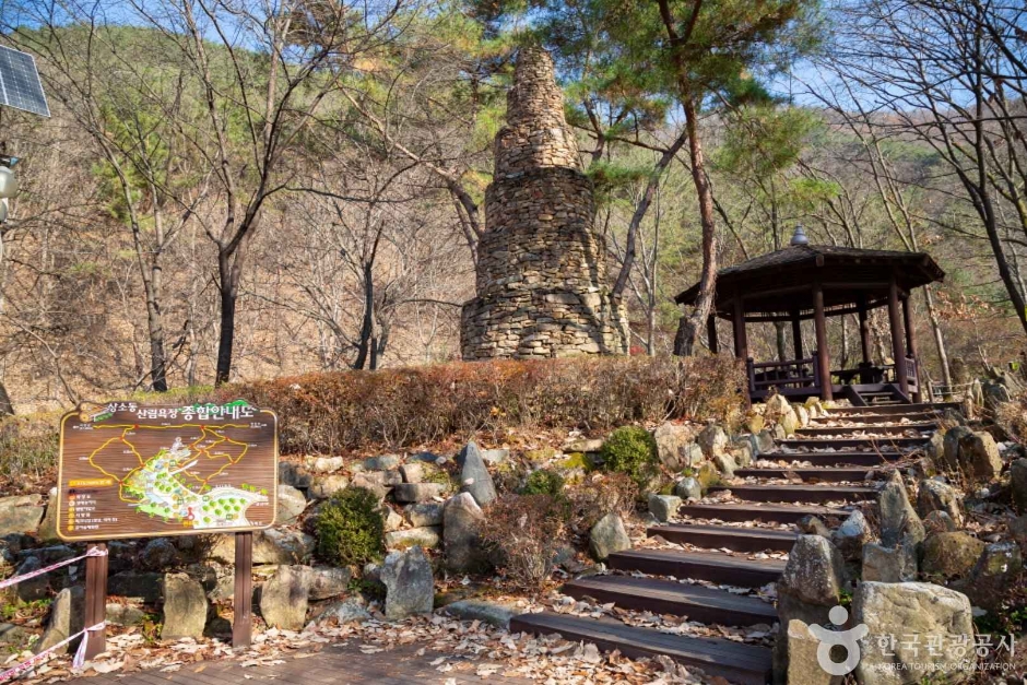 상소동 산림욕장 (3)