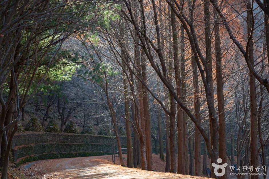 상소동 산림욕장 (5)