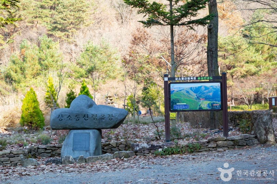 상소동 산림욕장 (6)