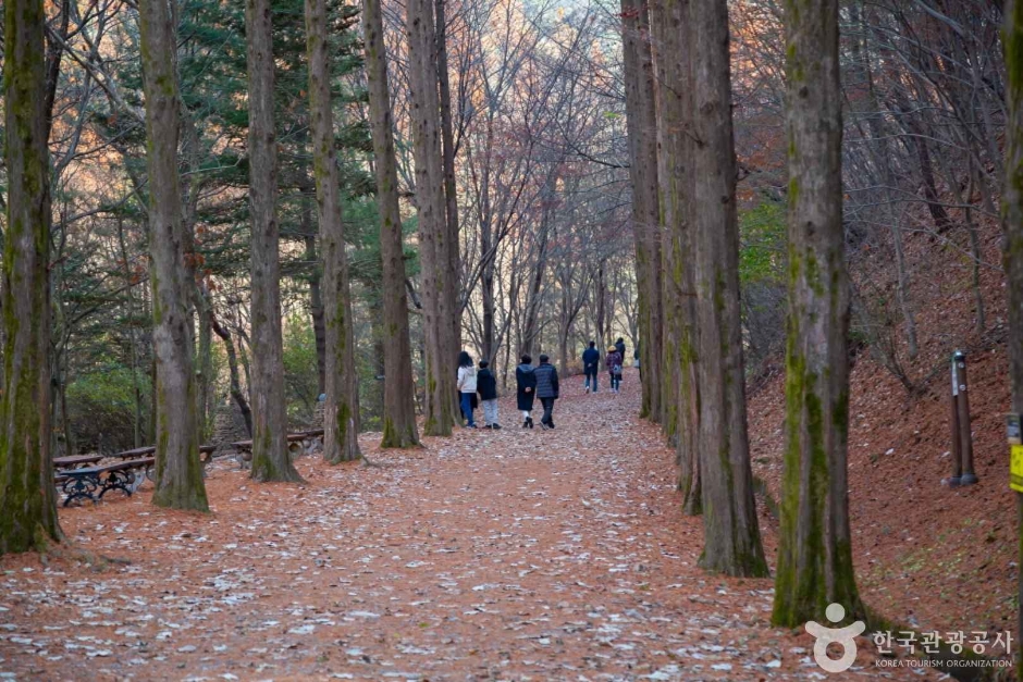 상소동 산림욕장 (7)