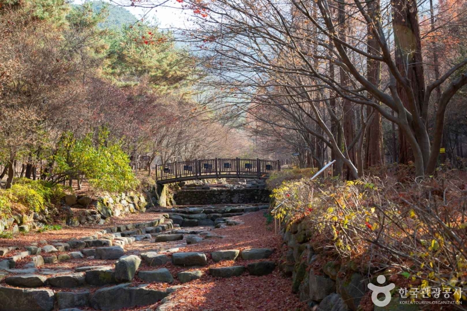 상소동 산림욕장 (11)