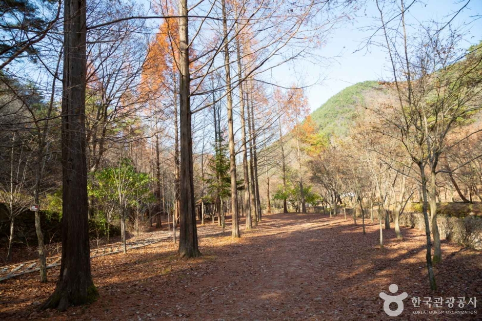 상소동 산림욕장 (16)