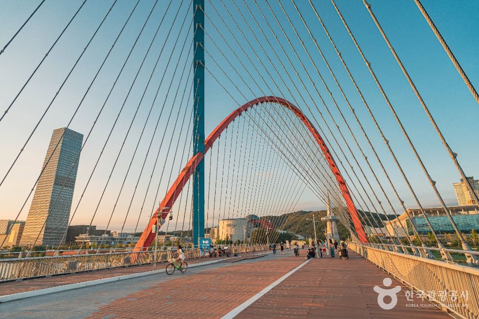 대전_엑스포다리 (4)
