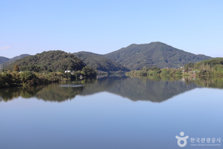 왕버드나무군락지