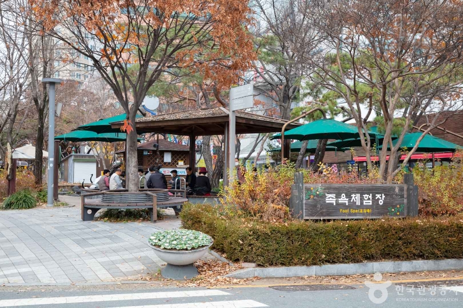 대전_유성구_유성 족욕체험장 (5)