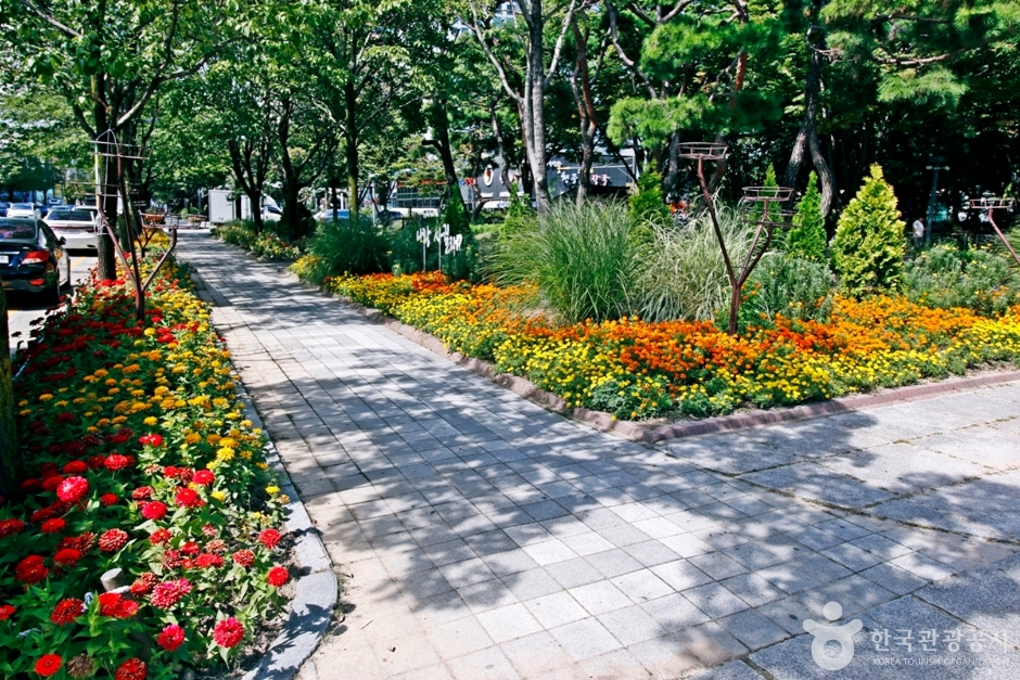 유성온천지구 (16)