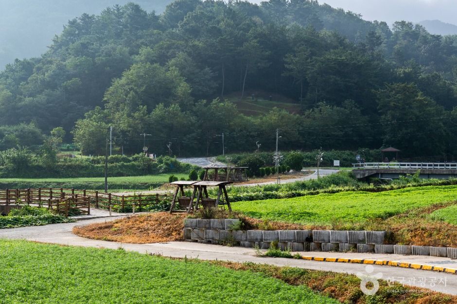 대덕_장동만남공원 (1)