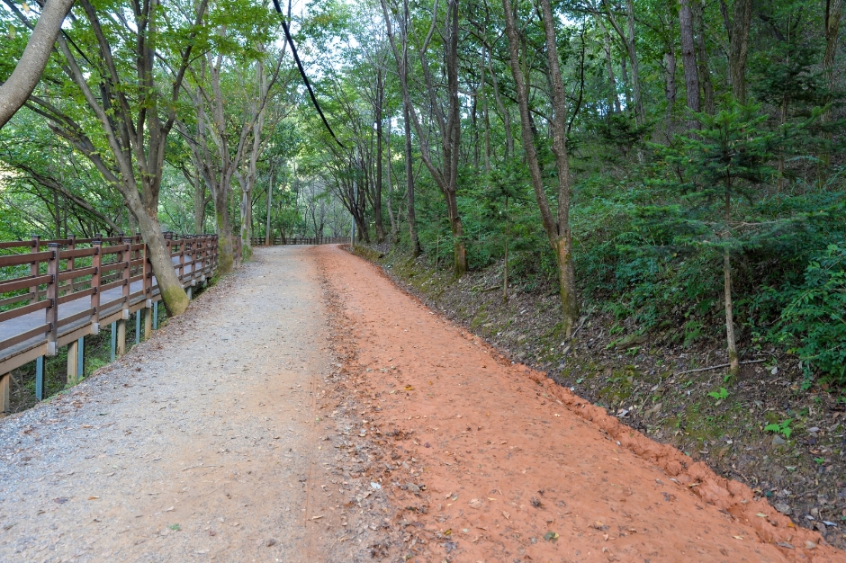 장동산림욕장 (3)