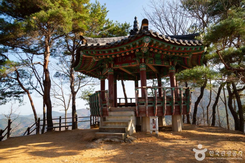 장태산자연휴양림 (2)