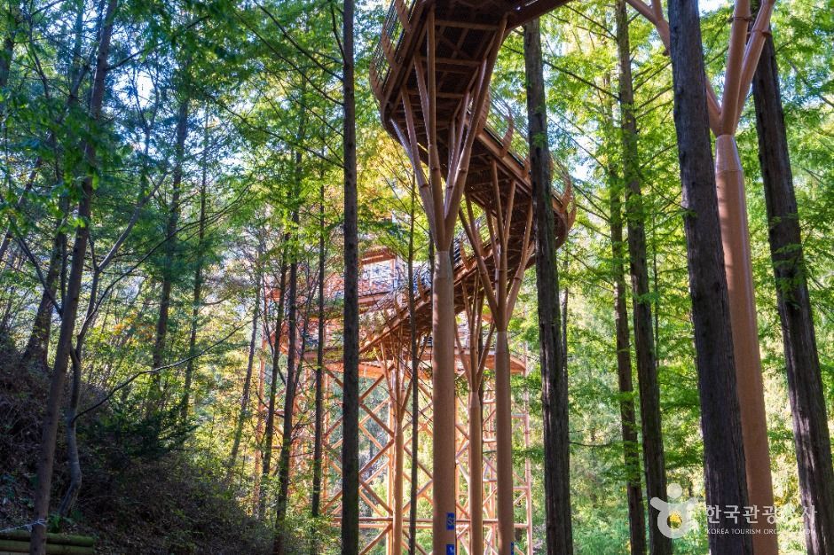 장태산자연휴양림 (3)