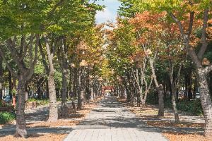 보라매공원(대전)