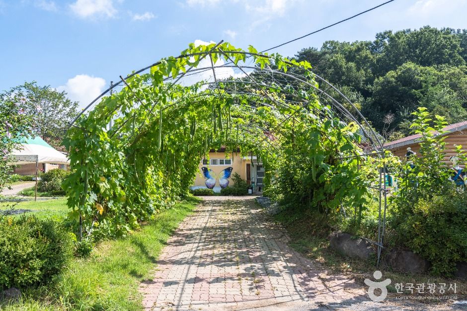 동구_찬샘마을 (7)