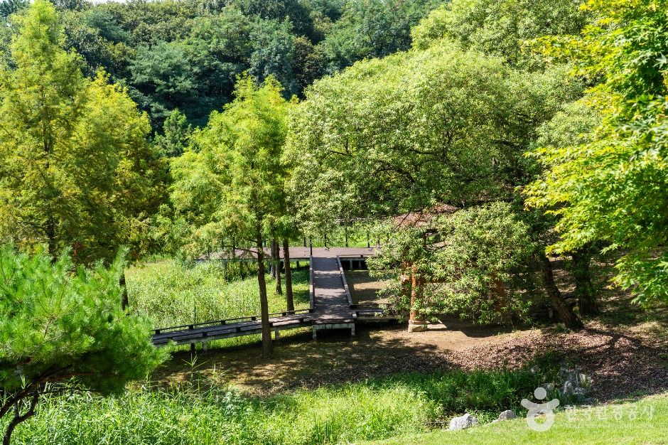 동구_추동인공생태습지 (1)