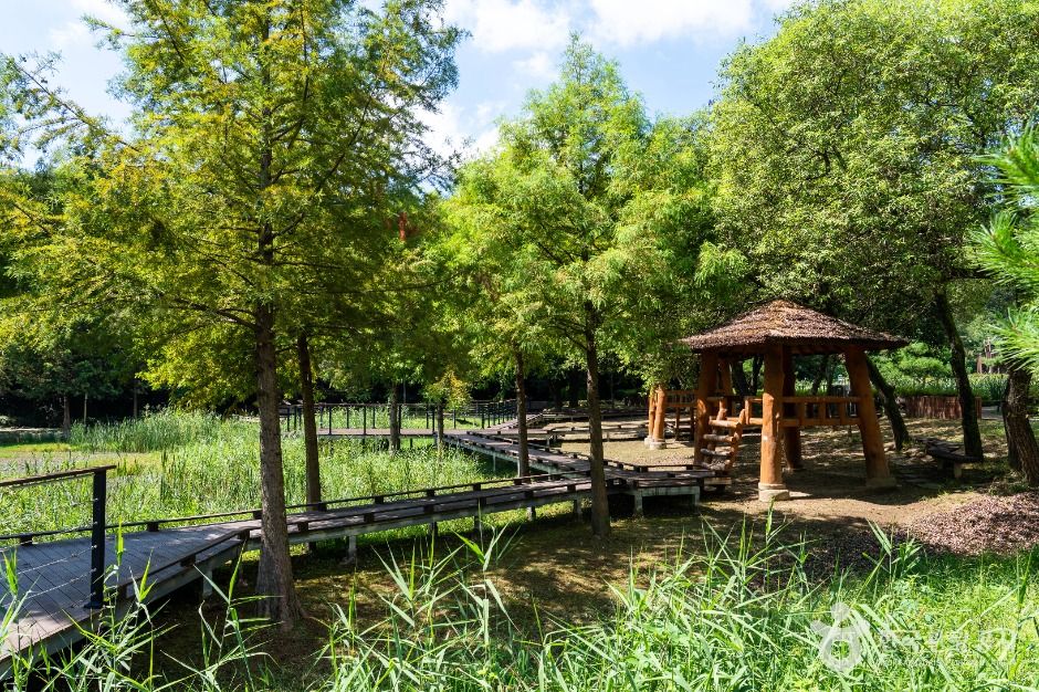 동구_추동인공생태습지 (2)